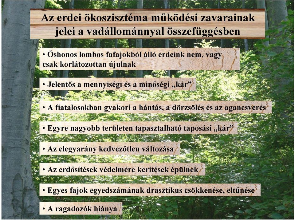 hántás, a dörzsölés és az agancsverés Egyre nagyobb területen tapasztalhatótaposási kár Az elegyarány kedvezőtlen