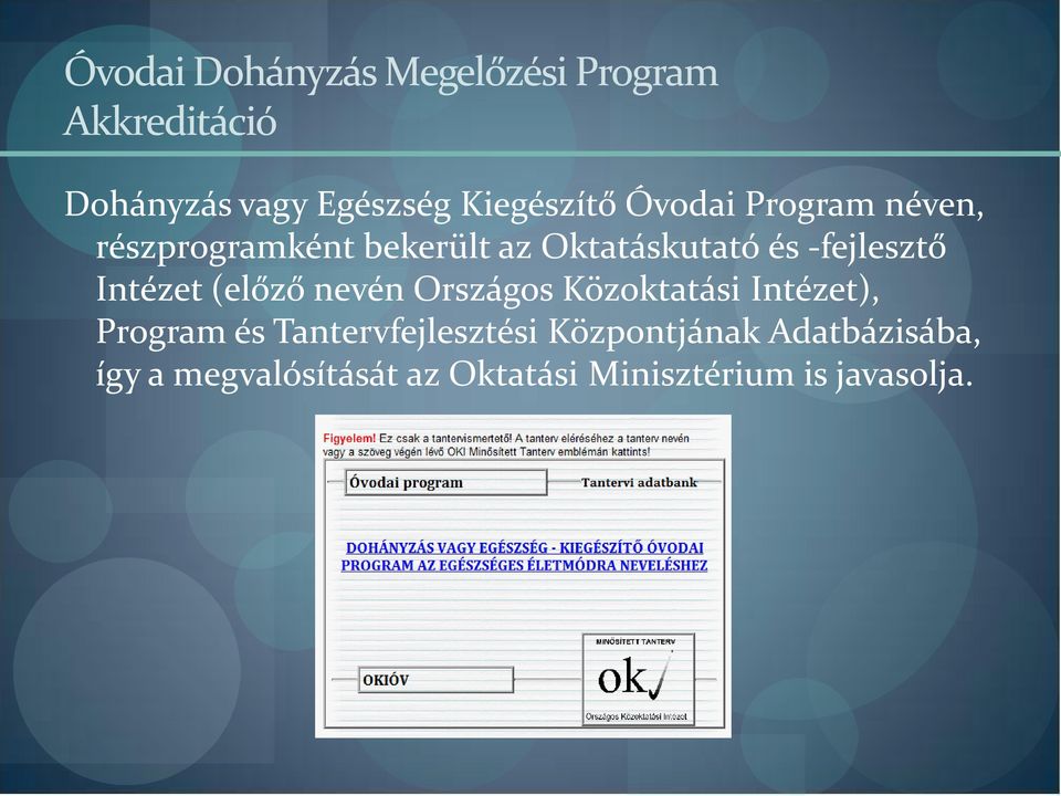 -fejlesztő Intézet (előző nevén Országos Közoktatási Intézet), Program és