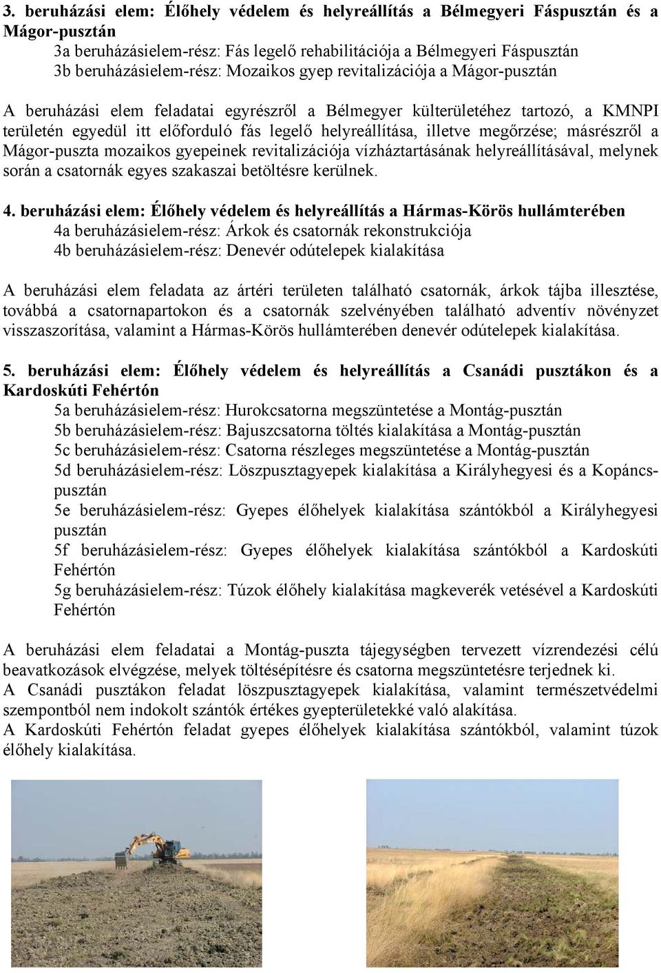 megőrzése; másrészről a Mágor-puszta mozaikos gyepeinek revitalizációja vízháztartásának helyreállításával, melynek során a csatornák egyes szakaszai betöltésre kerülnek. 4.