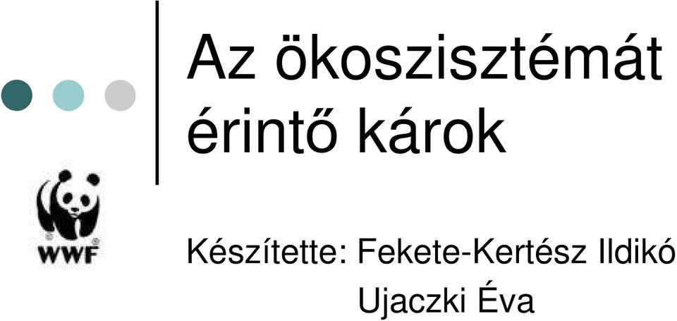 Készítette: