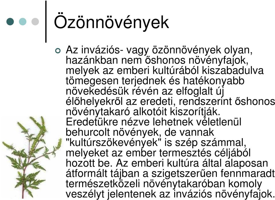 Eredetükre nézve lehetnek véletlenül behurcolt növények, de vannak "kultúrszökevények" is szép számmal, melyeket az ember termesztés céljából