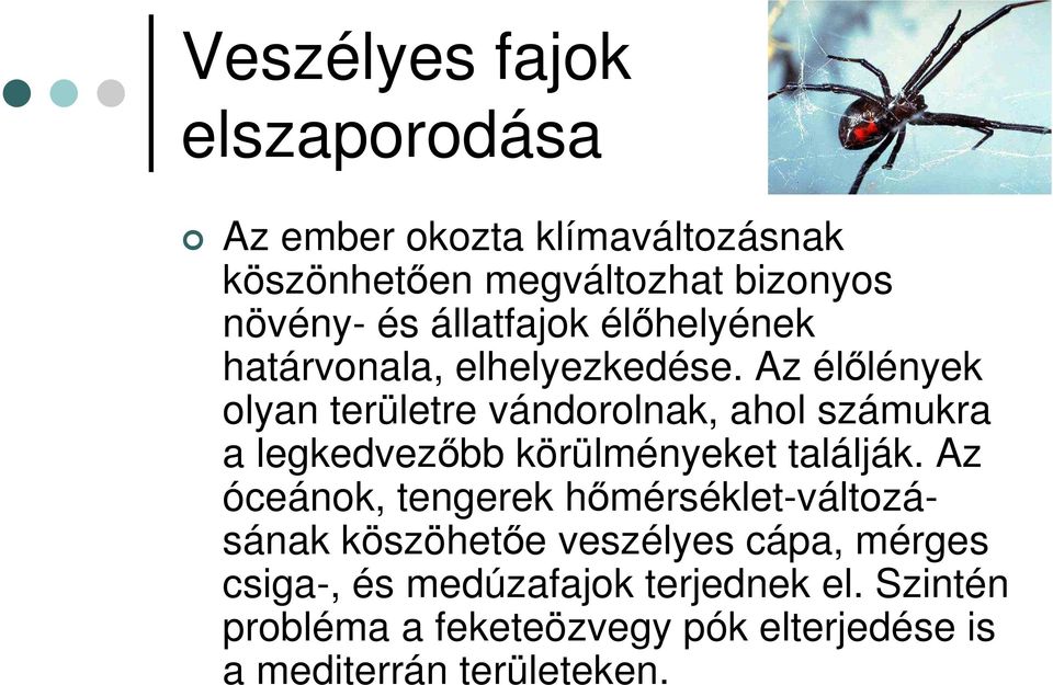 Az élőlények olyan területre vándorolnak, ahol számukra a legkedvezőbb körülményeket találják.