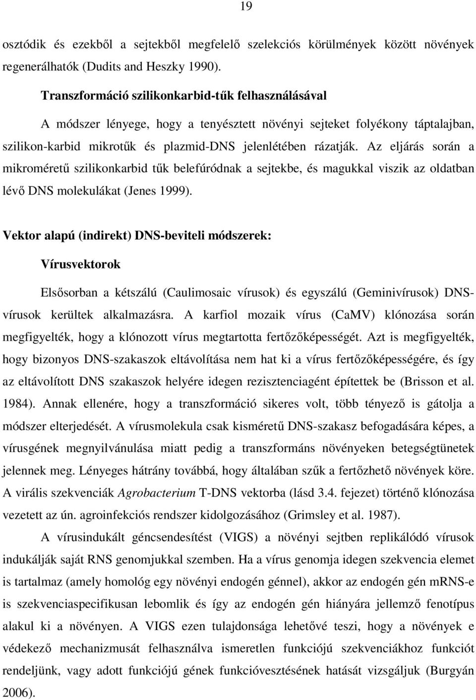 Az eljárás során a mikroméretű szilikonkarbid tűk belefúródnak a sejtekbe, és magukkal viszik az oldatban lévő DNS molekulákat (Jenes 1999).