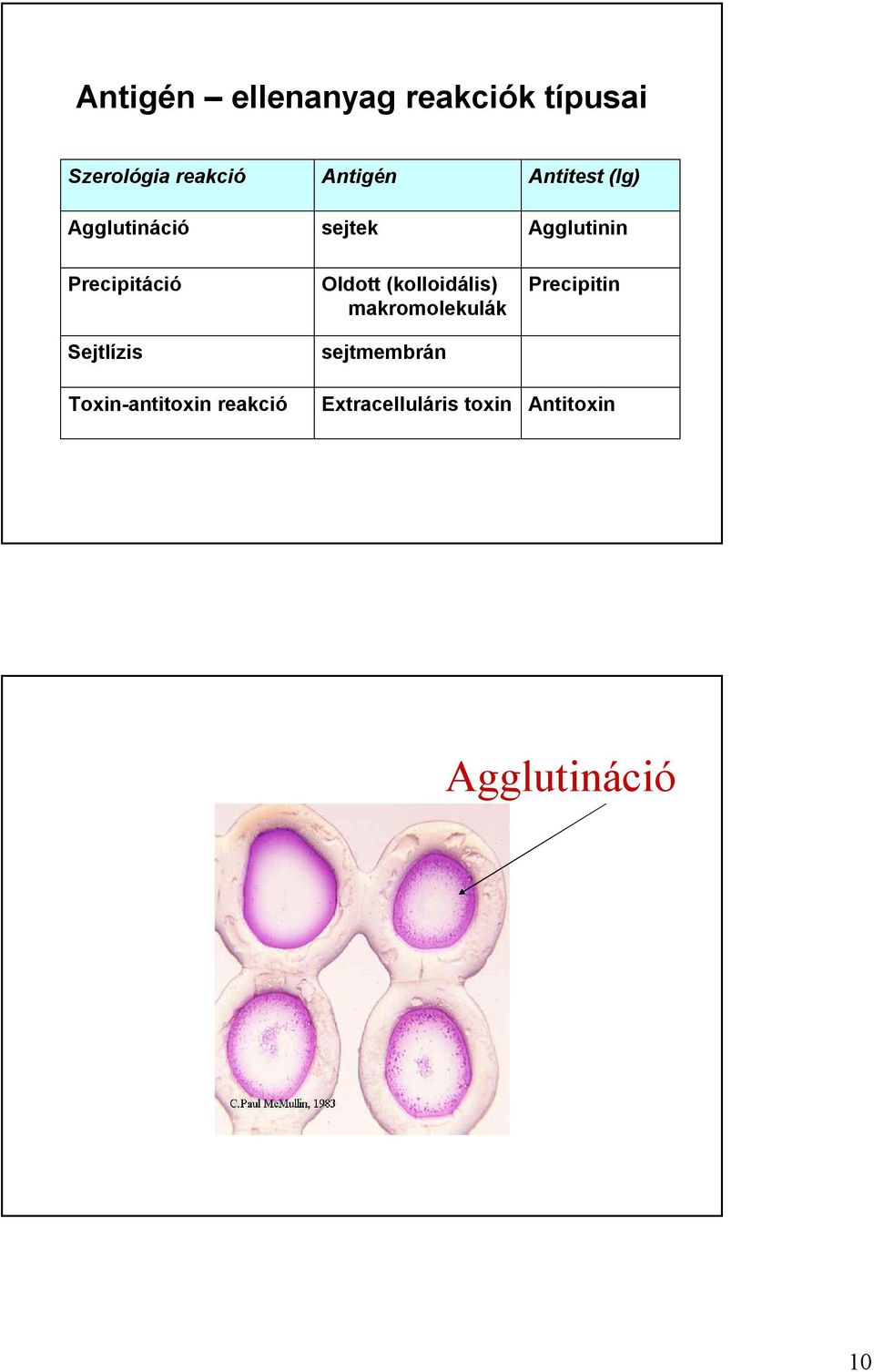 Sejtlízis Toxin-antitoxin reakció Oldott (kolloidális)