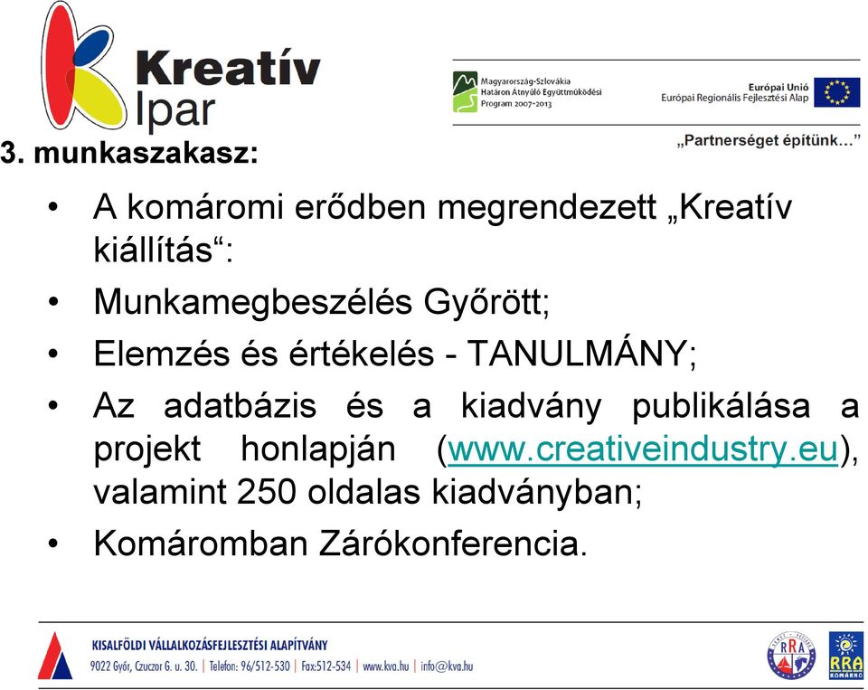 adatbázis és a kiadvány publikálása a projekt honlapján (www.