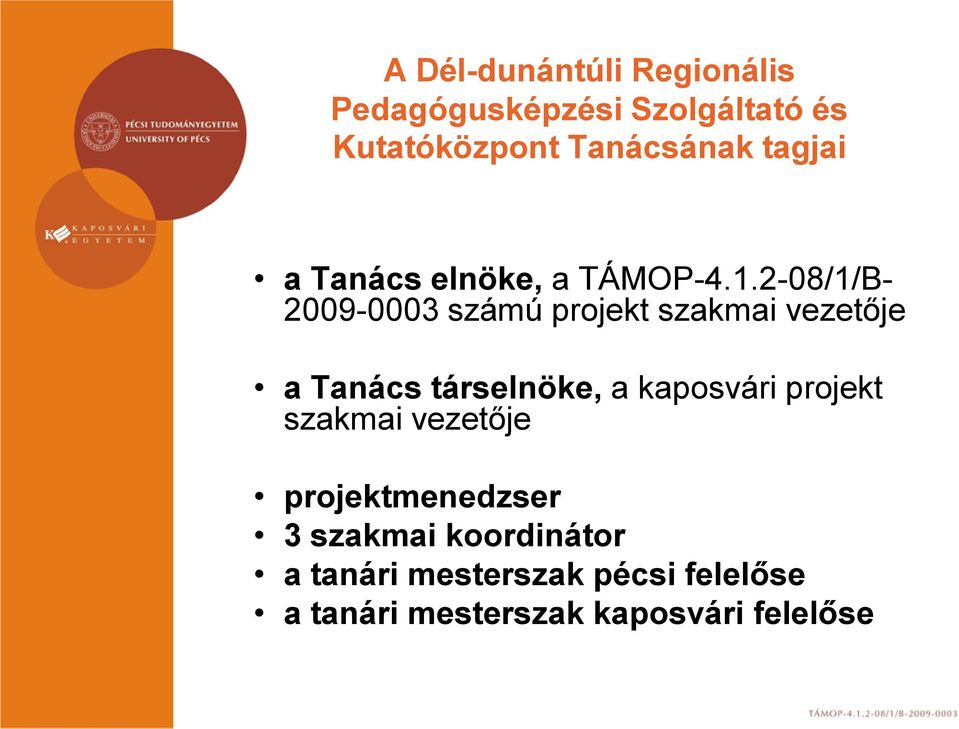 2-08/1/B- 2009-0003 számú projekt szakmai vezetője a Tanács társelnöke, a kaposvári