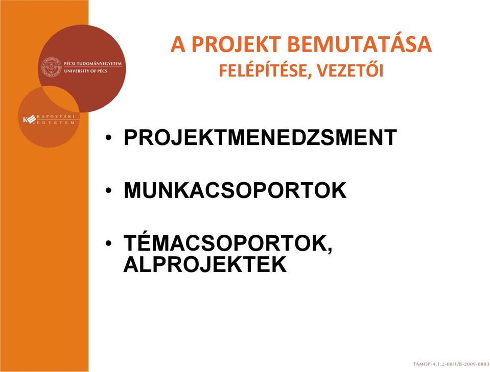 PROJEKTMENEDZSMENT