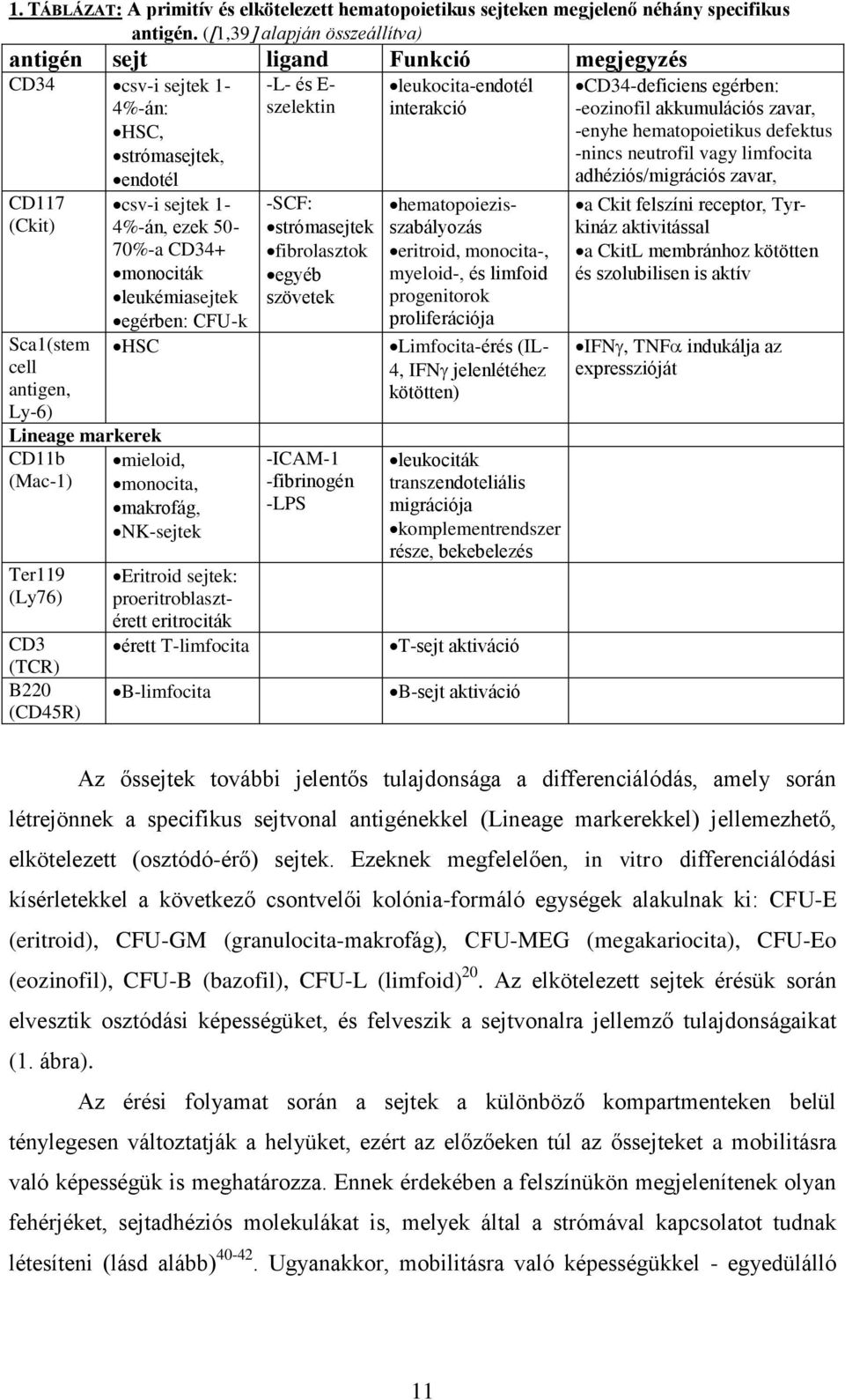 Ter119 (Ly76) CD3 (TCR) B220 (CD45R) csv-i sejtek 1-4%-án, ezek 50-70%-a CD34+ monociták leukémiasejtek egérben: CFU-k HSC mieloid, monocita, makrofág, NK-sejtek Eritroid sejtek: proeritroblasztérett