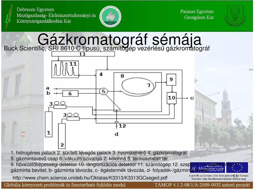 termosztatált tér 9. hıvezetıképességi detektor 10. lángionizációs detektor 11. számítógép 12. szeptum 13.