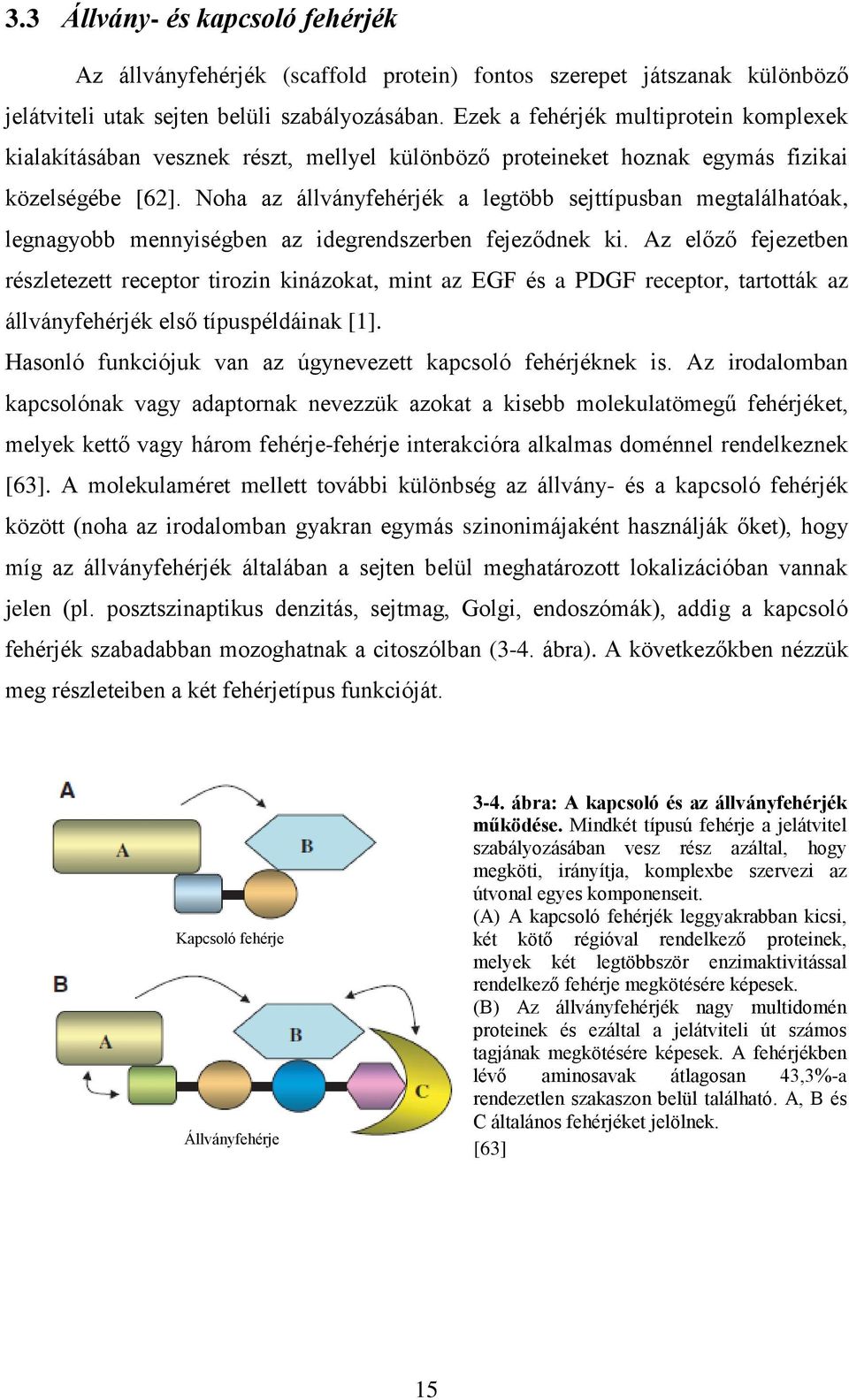 Noha az állványfehérjék a legtöbb sejttípusban megtalálhatóak, legnagyobb mennyiségben az idegrendszerben fejeződnek ki.