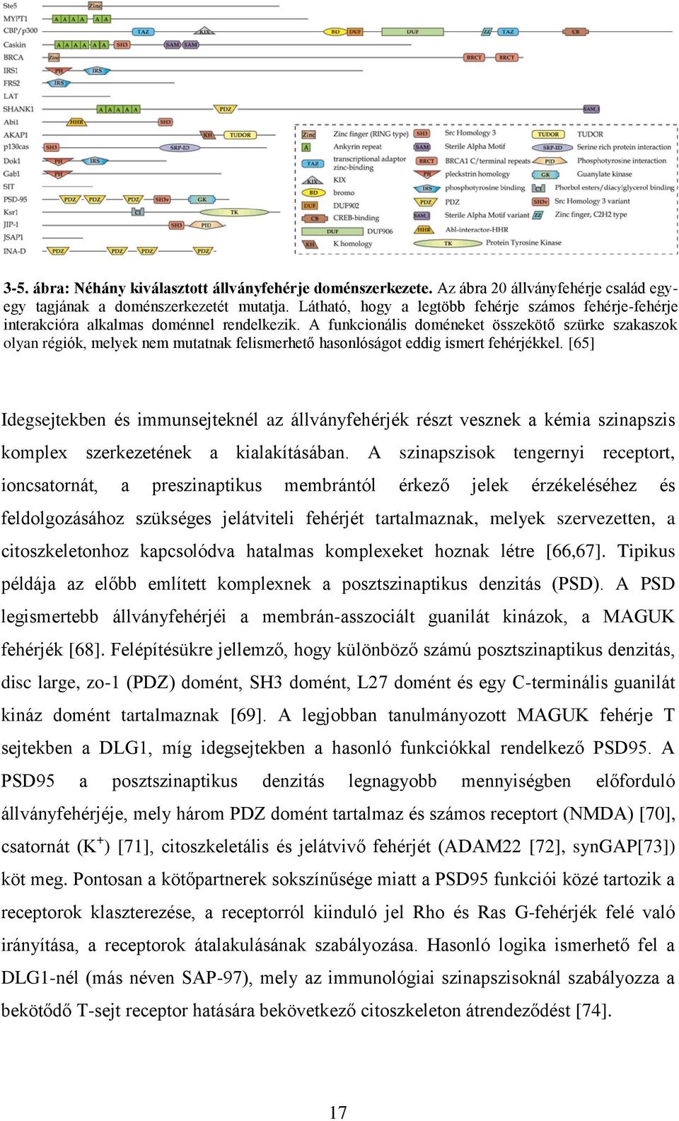 A funkcionális doméneket összekötő szürke szakaszok olyan régiók, melyek nem mutatnak felismerhető hasonlóságot eddig ismert fehérjékkel.