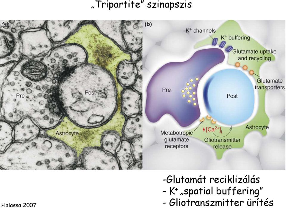 reciklizálás - K + spatial