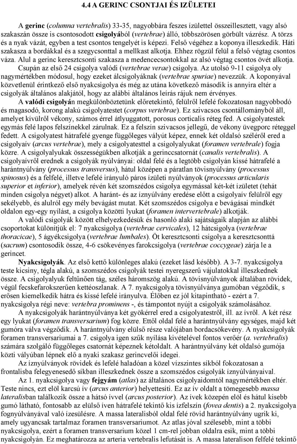 Ehhez rögzül felül a felső végtag csontos váza. Alul a gerinc keresztcsonti szakasza a medencecsontokkal az alsó végtag csontos övét alkotja.
