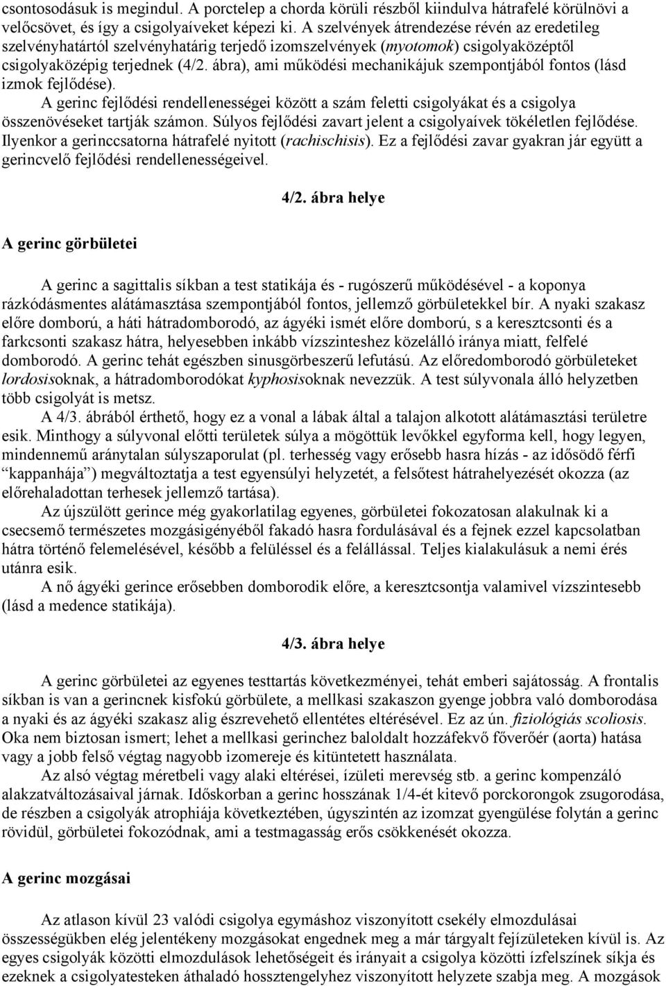 ábra), ami működési mechanikájuk szempontjából fontos (lásd izmok fejlődése). A gerinc fejlődési rendellenességei között a szám feletti csigolyákat és a csigolya összenövéseket tartják számon.