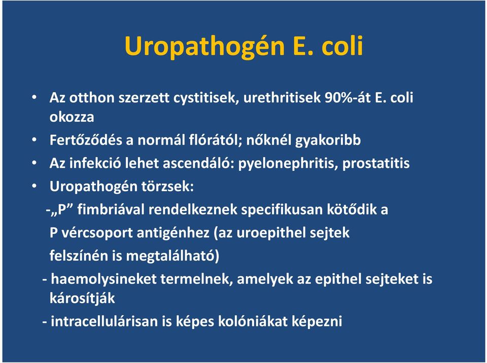 prostatitis Uropathogén törzsek: - P fimbriával rendelkeznek specifikusan kötődik a P vércsoport antigénhez (az