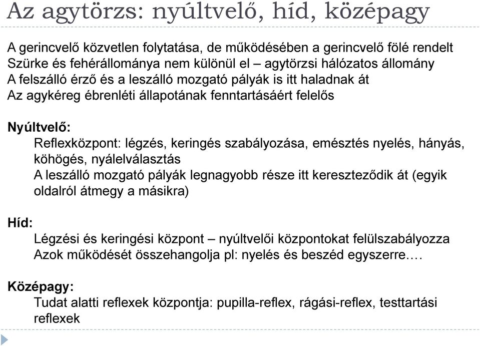 emésztés nyelés, hányás, köhögés, nyálelválasztás A leszálló mozgató pályák legnagyobb része itt kereszteződik át (egyik oldalról átmegy a másikra) Híd: Légzési és keringési központ
