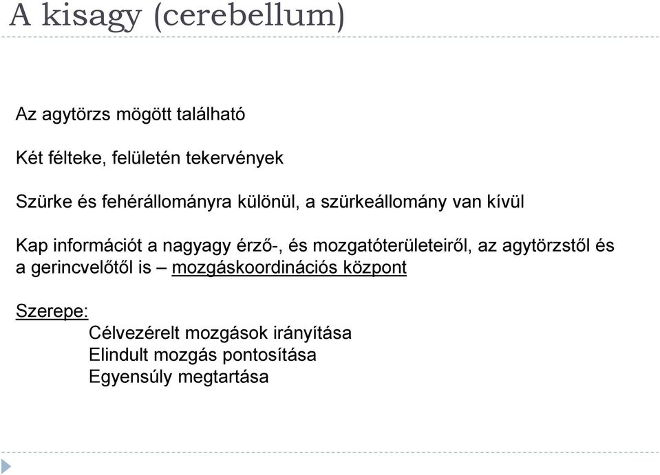 érző-, és mozgatóterületeiről, az agytörzstől és a gerincvelőtől is mozgáskoordinációs