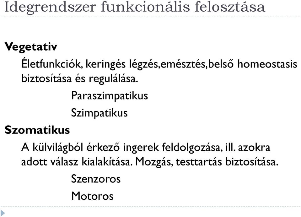 Szomatikus Paraszimpatikus Szimpatikus A külvilágból érkező ingerek