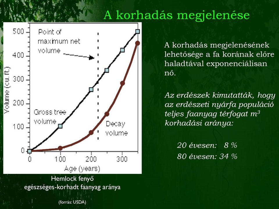 Az erdészek kimutatták, hogy az erdészeti nyárfa populáció teljes faanyag