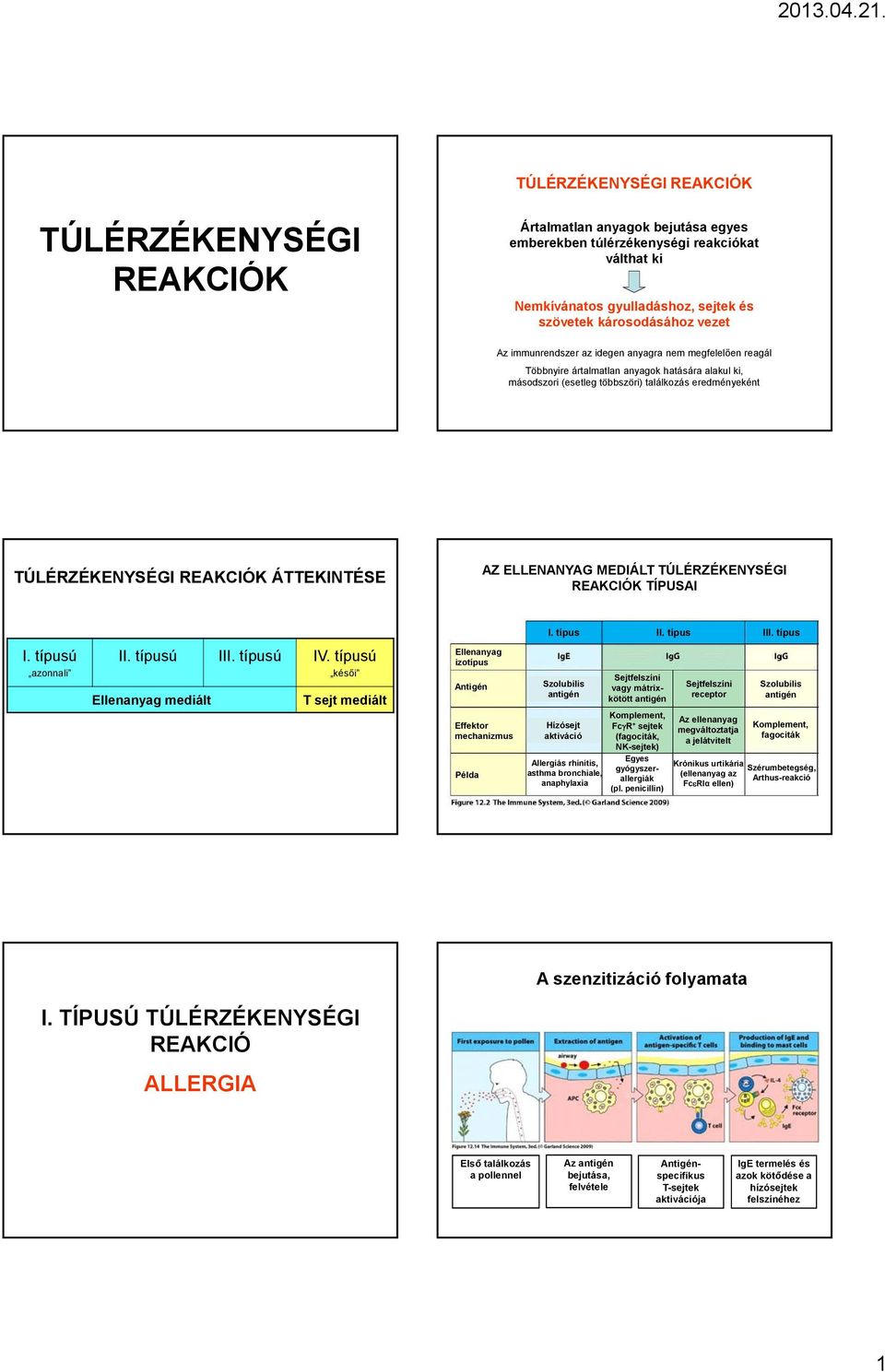 ÁTTEKINTÉSE AZ ELLENANYAG MEDIÁLT TÚLÉRZÉKENYSÉGI REAKCIÓK TÍPUSAI I. típusú azonnali II. típusú III. típusú IV. típusú késői Ellenanyag mediált T sejt mediált I. típus II. típus III.