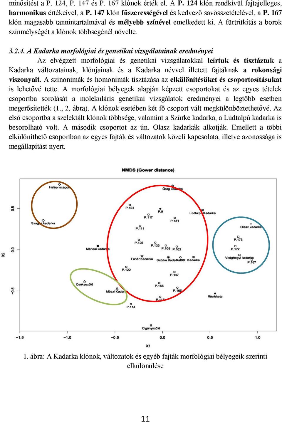 A Kadarka morfológiai és genetikai vizsgálatainak eredményei Az elvégzett morfológiai és genetikai vizsgálatokkal leírtuk és tisztáztuk a Kadarka változatainak, klónjainak és a Kadarka névvel