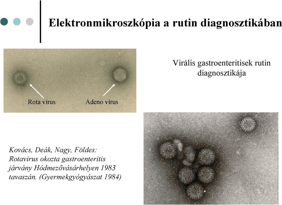 vírus Kovács, Deák, Nagy, Földes: Rotavirus okozta
