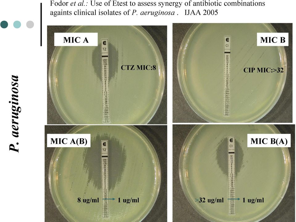 combinations againts clinical isolates of P. aeruginosa.
