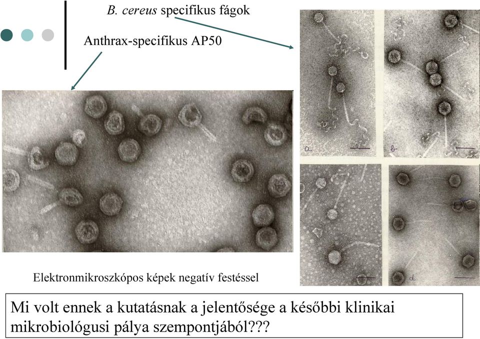 festéssel Mi volt ennek a kutatásnak a