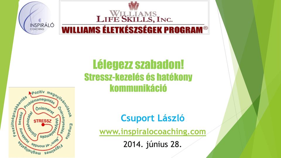 kommunikáció Csuport László