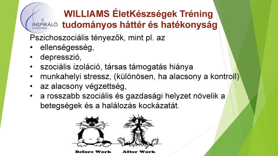az ellenségesség, depresszió, szociális izoláció, társas támogatás hiánya munkahelyi