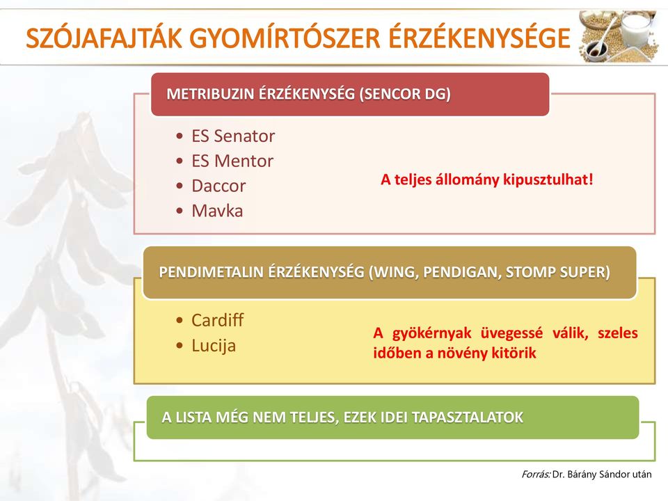 PENDIMETALIN ÉRZÉKENYSÉG (WING, PENDIGAN, STOMP SUPER) Cardiff Lucija A