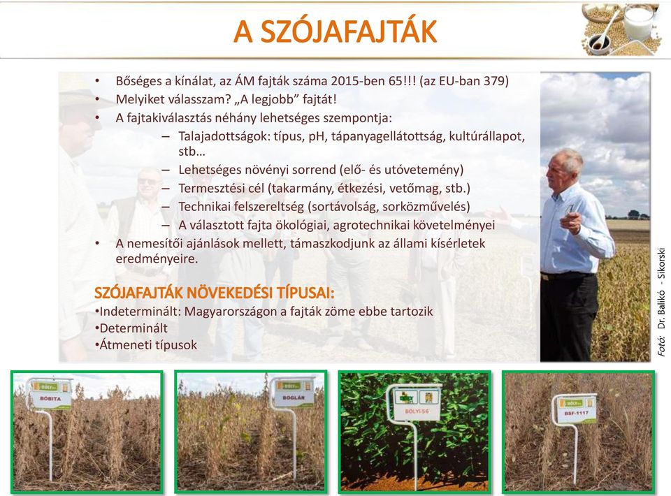 utóvetemény) Termesztési cél (takarmány, étkezési, vetőmag, stb.