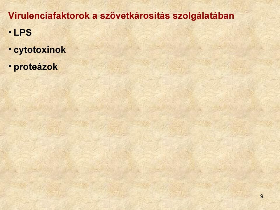 szolgálatában LPS