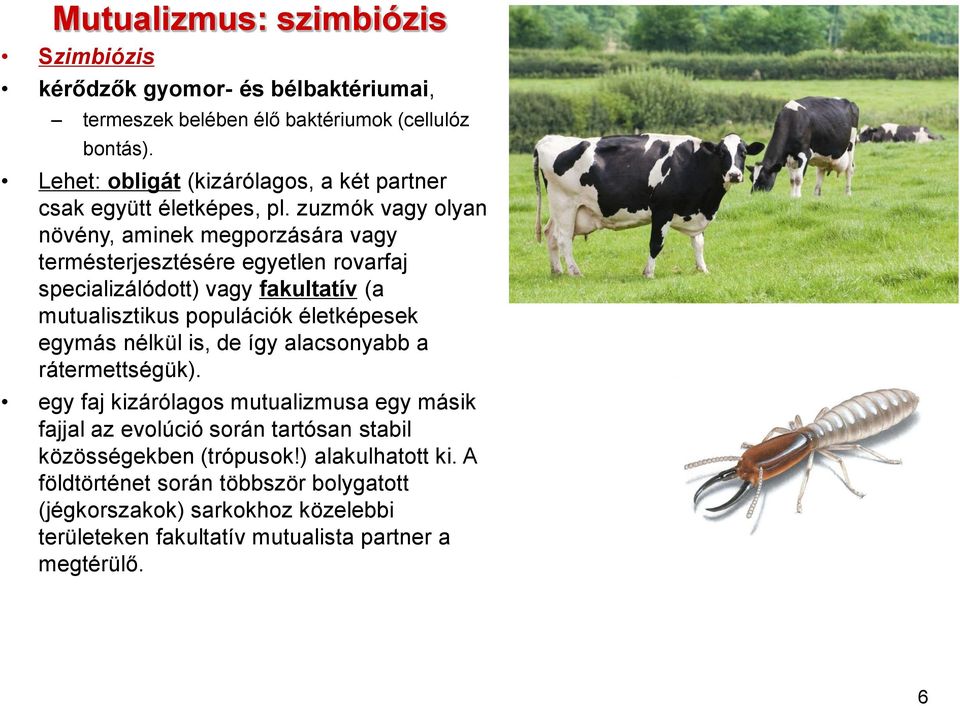 zuzmók vagy olyan növény, aminek megporzására vagy termésterjesztésére egyetlen rovarfaj specializálódott) vagy fakultatív (a mutualisztikus populációk életképesek