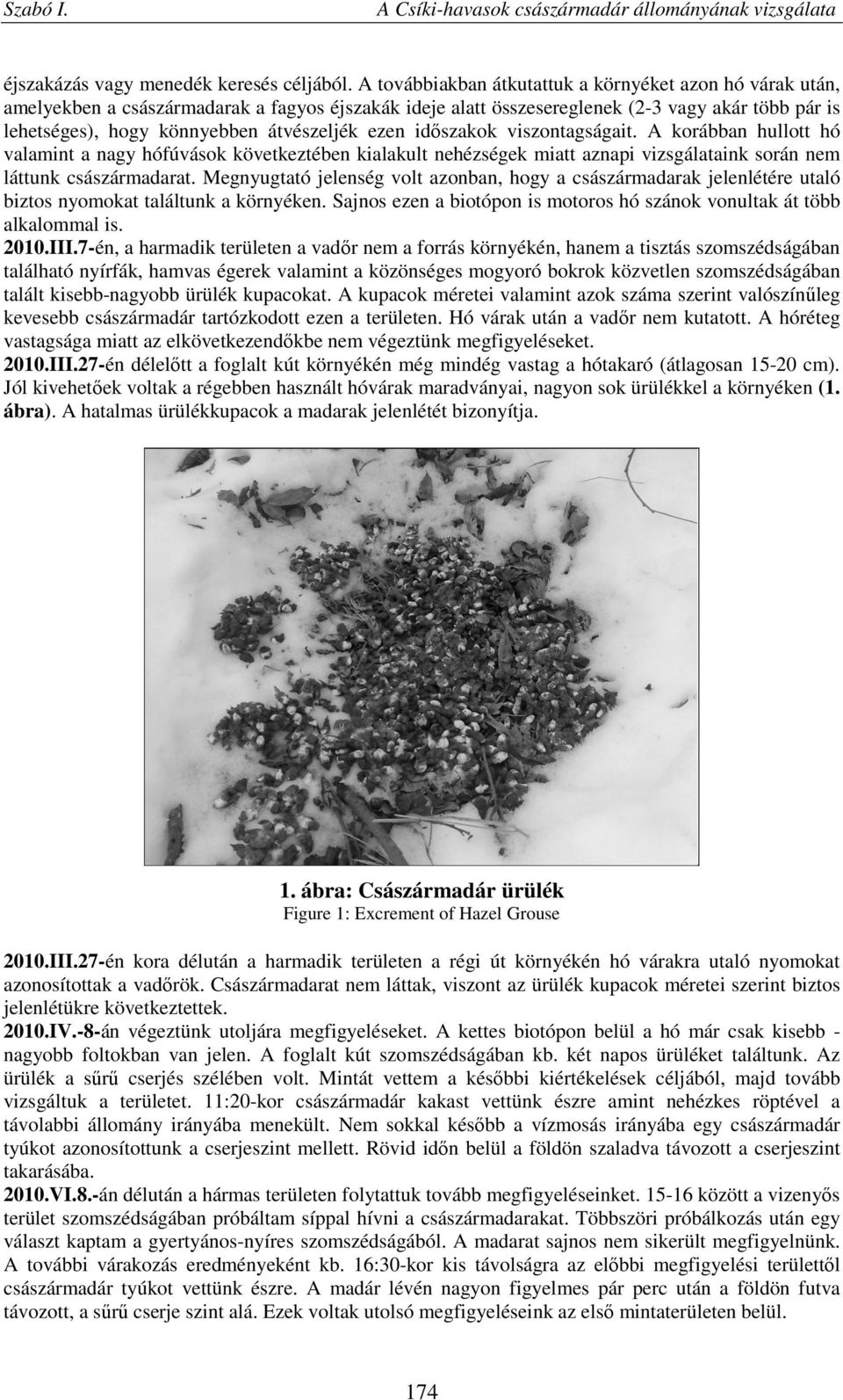 ezen időszakok viszontagságait. A korábban hullott hó valamint a nagy hófúvások következtében kialakult nehézségek miatt aznapi vizsgálataink során nem láttunk császármadarat.