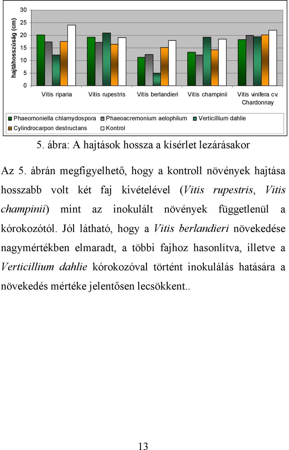 ábra: A hajtások hossza a kísérlet lezárásakor Az 5.