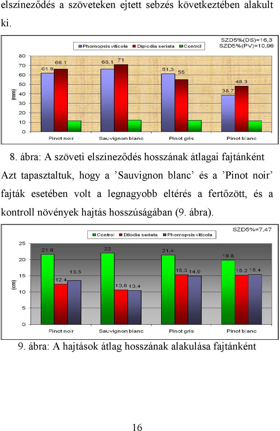 Sauvignon blanc és a Pinot noir fajták esetében volt a legnagyobb eltérés a fertőzött,