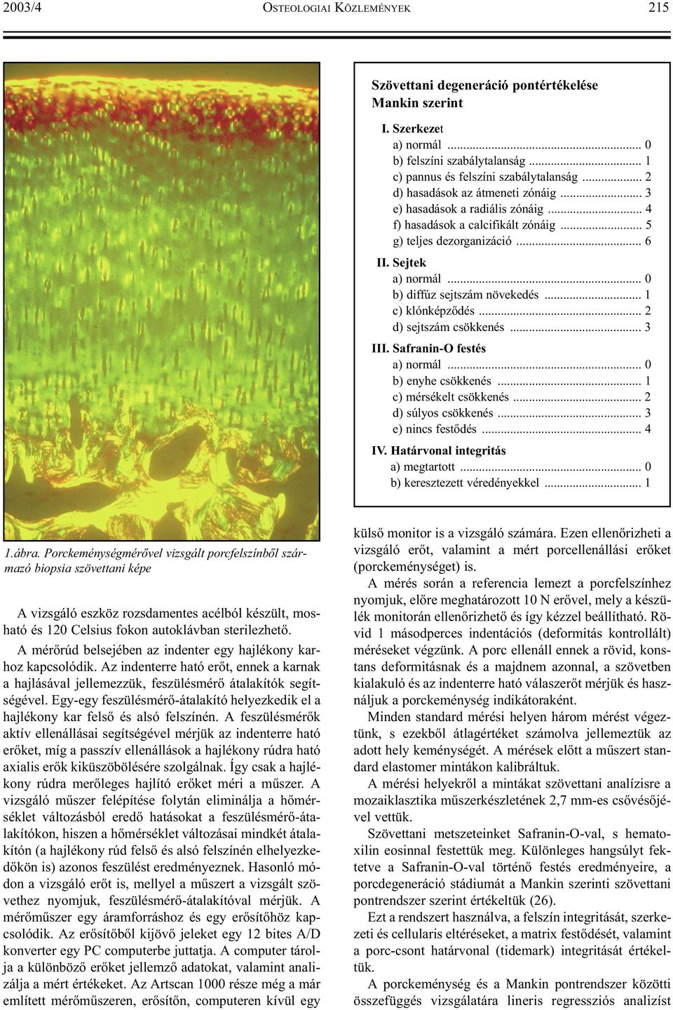 .. 0 b) diffúz sejtszám növekedés... 1 c) klónképzõdés... 2 d) sejtszám csökkenés... 3 III. Safranin-O festés a) normál... 0 b) enyhe csökkenés... 1 c) mérsékelt csökkenés... 2 d) súlyos csökkenés.