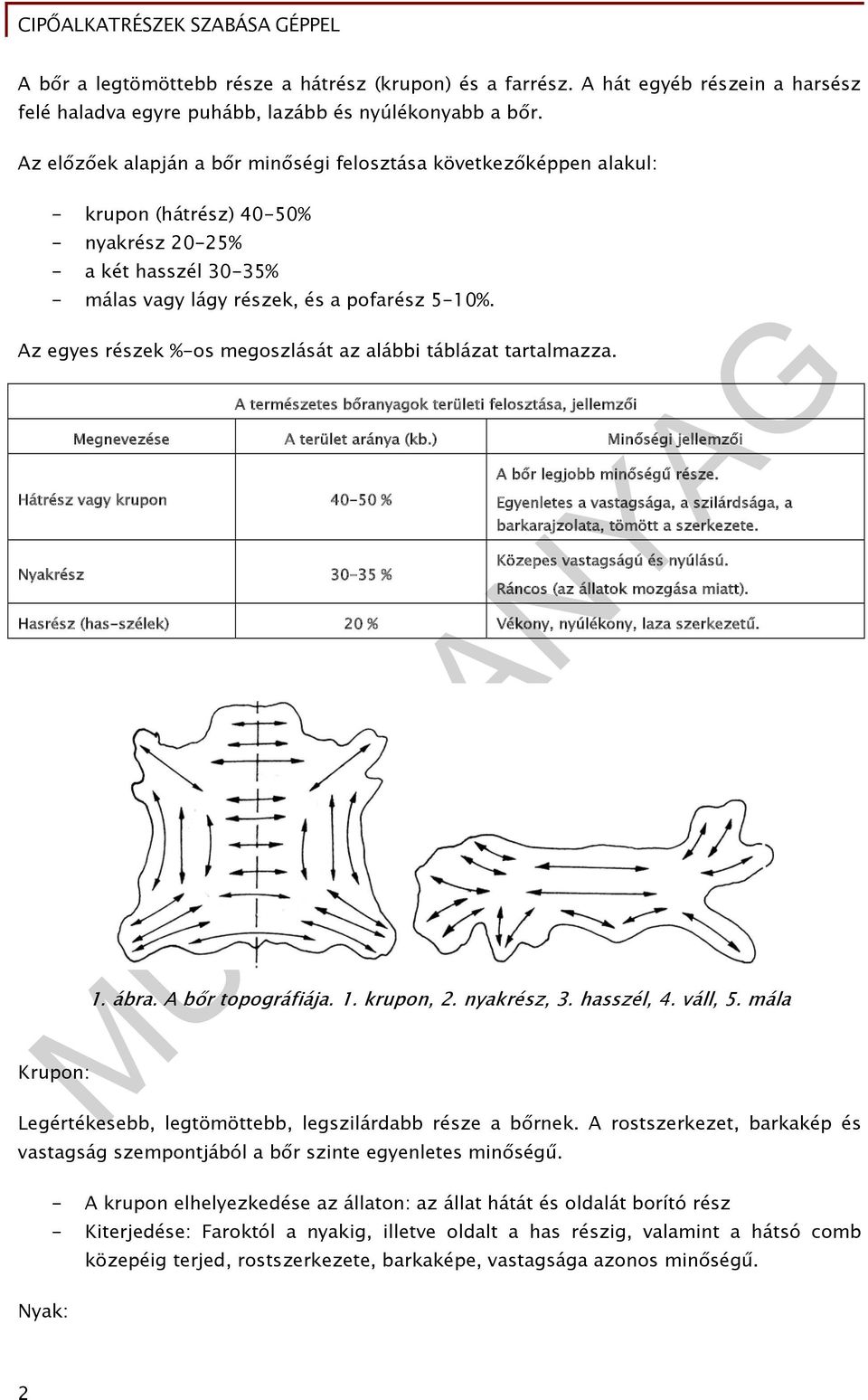 Az egyes részek %-os megoszlását az alábbi táblázat tartalmazza. A természetes bőranyagok területi felosztása, jellemzői Megnevezése A terület aránya (kb.