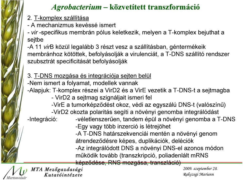 membránhoz kötöttek, befolyásolják a virulenciát, a T-DNS szállító rendszer szubsztrát specificitását befolyásolják 3.