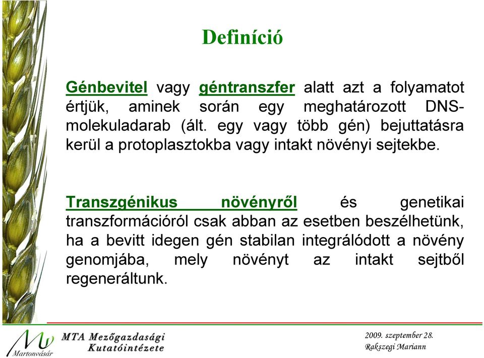 egy vagy több gén) bejuttatásra kerül a protoplasztokba vagy intakt növényi sejtekbe.