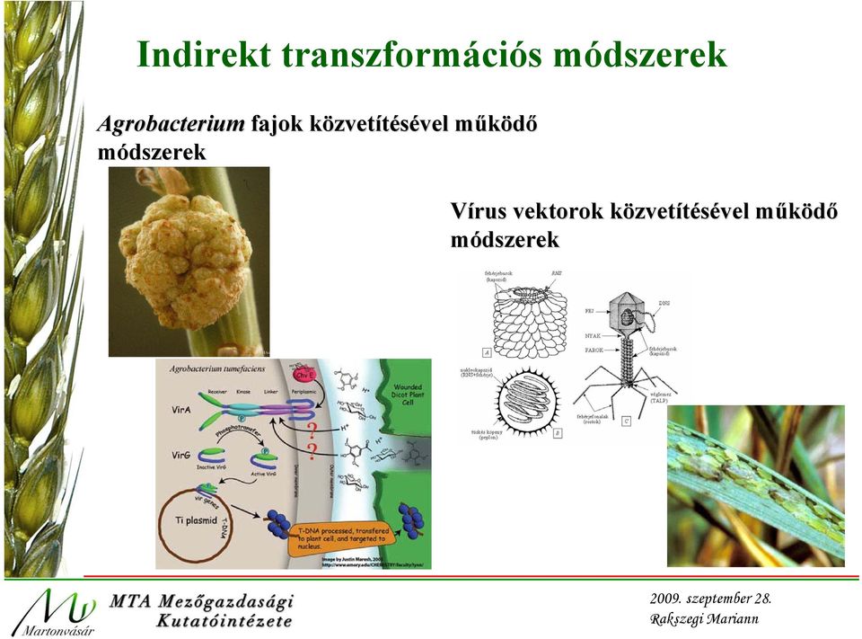 közvetítésével működő módszerek