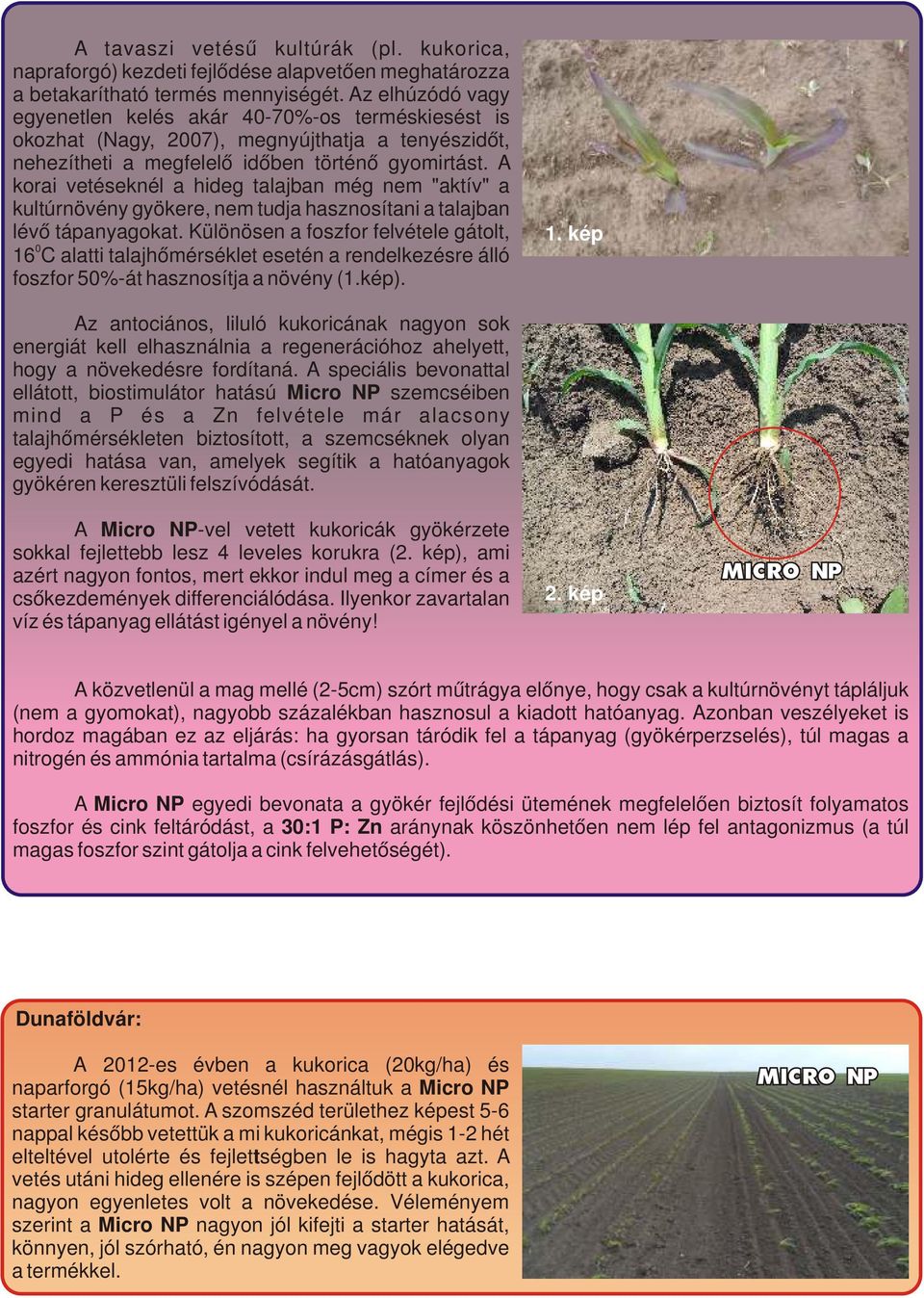 A korai vetéseknél a hideg talajban még nem "aktív" a kultúrnövény gyökere, nem tudja hasznosítani a talajban lévő tápanyagokat.