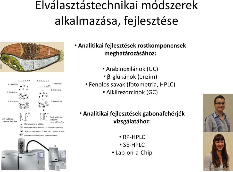 β-glükánok (enzim) Fenolos savak (fotometria, HPLC) Alkilrezorcinok (GC)