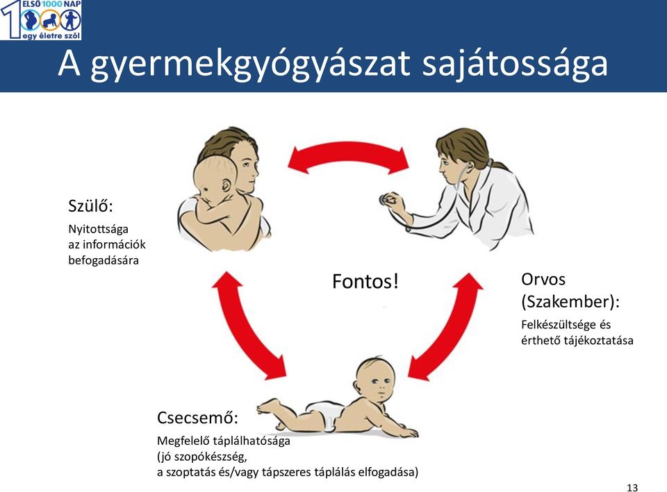 Orvos (Szakember): Felkészültsége és érthető tájékoztatása