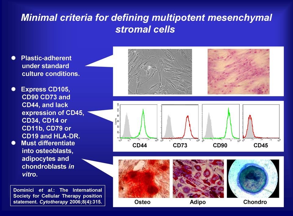 Express CD105, CD90 CD73 and CD44, and lack expression of CD45, CD34, CD14 or CD11b, CD79 or CD19 and HLA-DR.