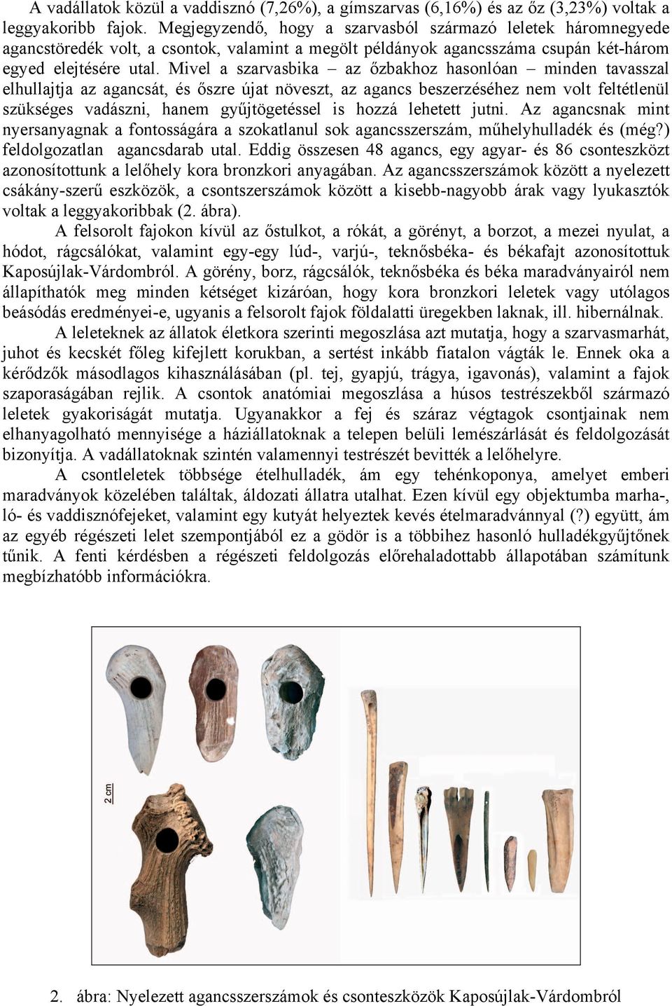 Mivel a szarvasbika az őzbakhoz hasonlóan minden tavasszal elhullajtja az agancsát, és őszre újat növeszt, az agancs beszerzéséhez nem volt feltétlenül szükséges vadászni, hanem gyűjtögetéssel is