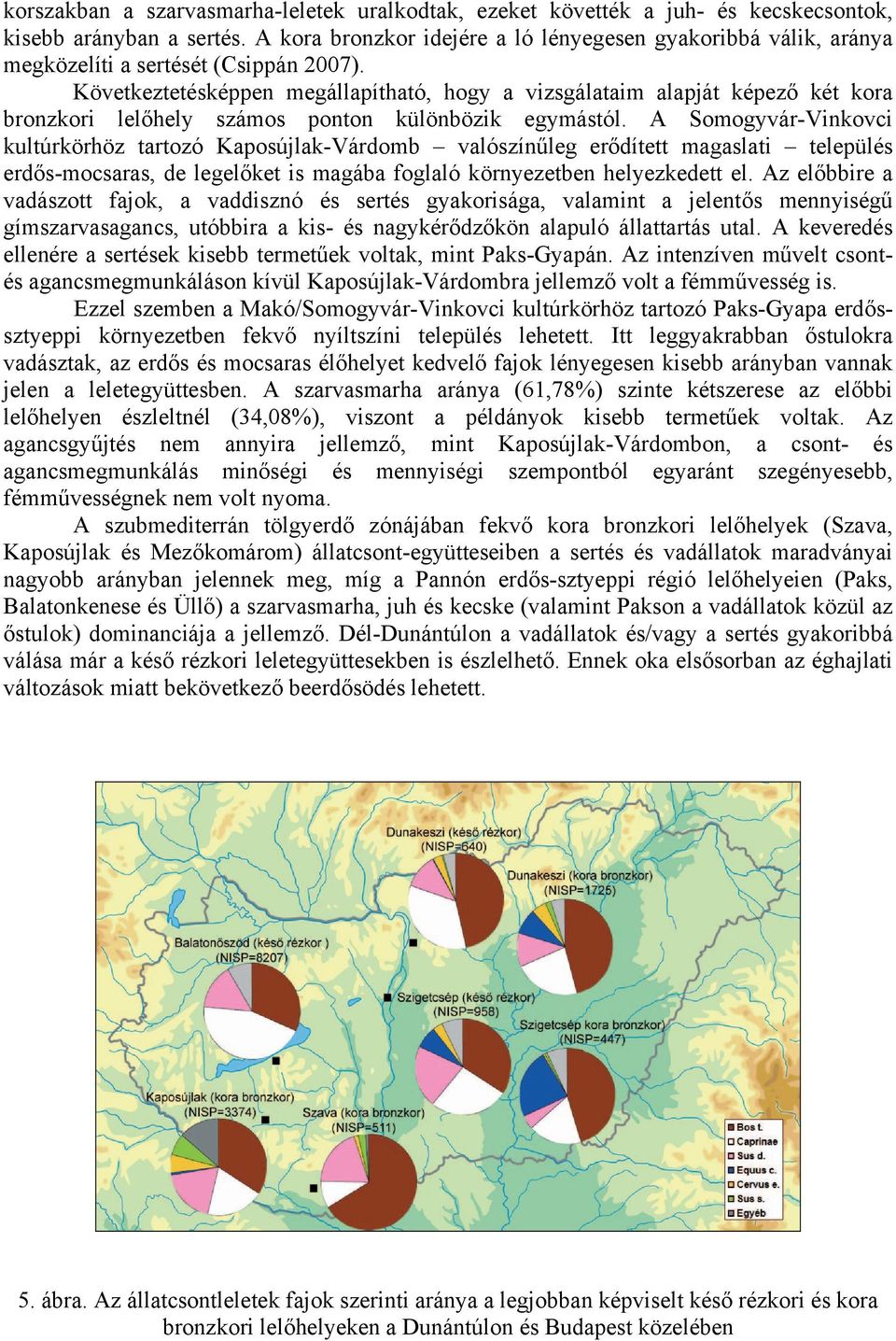 Következtetésképpen megállapítható, hogy a vizsgálataim alapját képező két kora bronzkori lelőhely számos ponton különbözik egymástól.