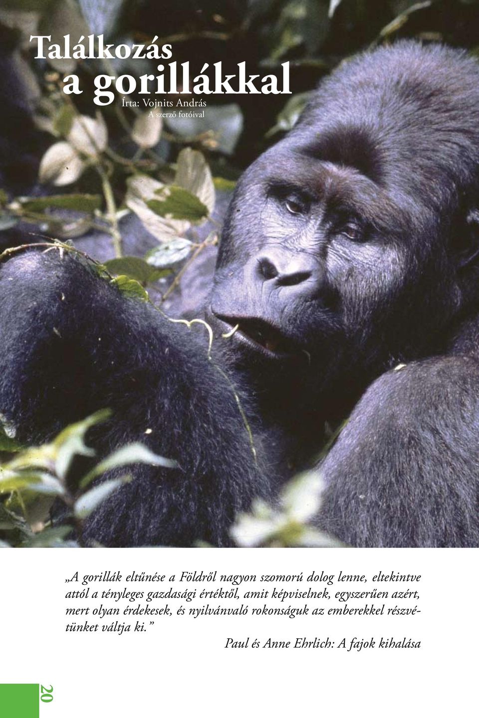 a gorillákkal Találkozás - PDF Free Download