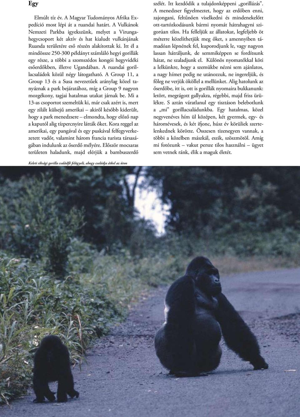 Itt él a mindössze 250-300 példányt számláló hegyi gorillák egy része, a többi a szomszédos kongói hegyvidéki esőerdőkben, illetve Ugandában. A ruandai gorillacsaládok közül négy látogatható.